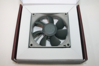 Noctua A 00038