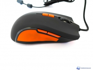 Ozone-Argon-Ocelote-38